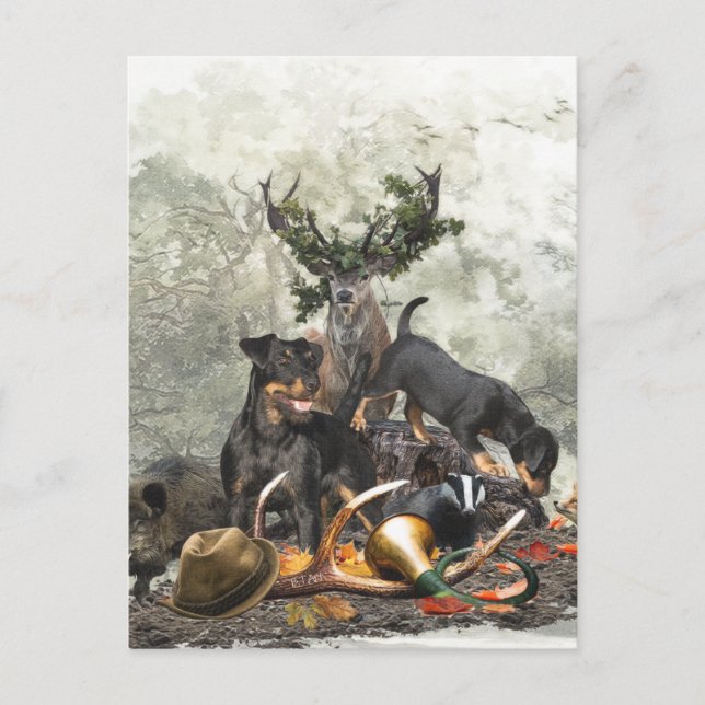Jagdterrier, German Hunting Terrier       Postcard (Front)