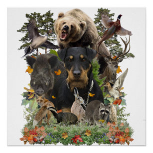 Jagdterrier, German Hunting Terrier Poster