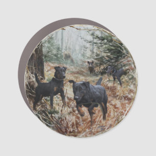 Jagdterriers, all-round hunting dogs. sticker car magnet