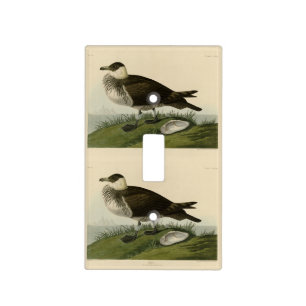 Jager (Pomarine Jaeger) Audubon's Birds of America Light Switch Cover