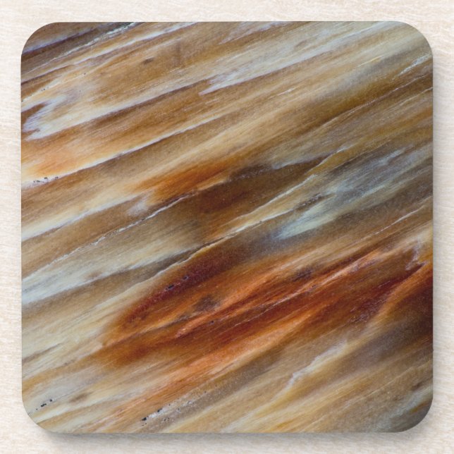 Jagged Petrified Wood Beverage Coaster (Front)