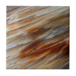 Jagged Petrified Wood Ceramic Tile