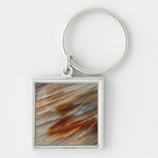 Jagged Petrified Wood Keychain (Front)