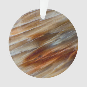 Jagged Petrified Wood Ornament