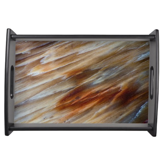 Jagged Petrified Wood Serving Tray (Front)