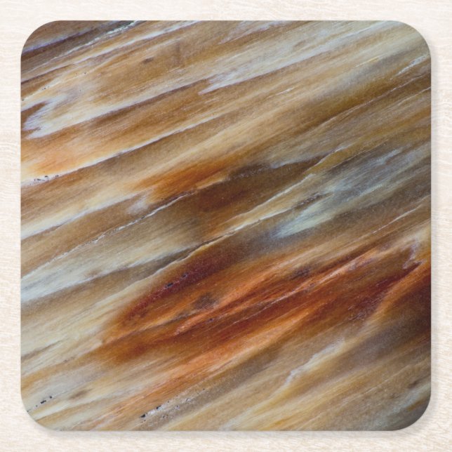 Jagged Petrified Wood Square Paper Coaster (Front)
