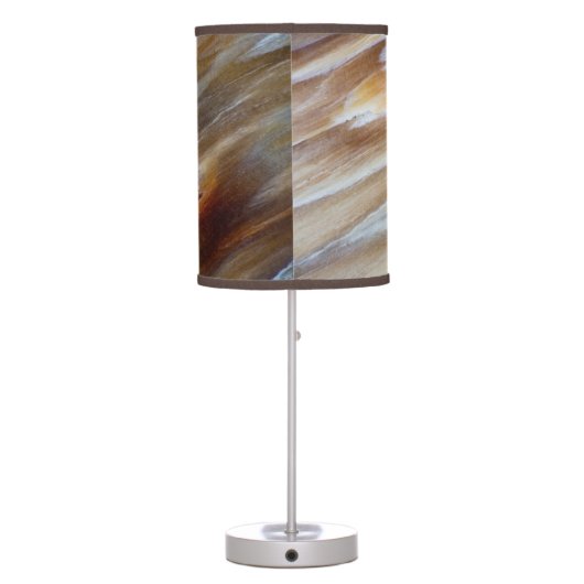 Jagged Petrified Wood Table Lamp (Back)