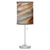 Jagged Petrified Wood Table Lamp (Left)