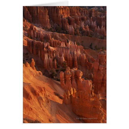 Jagged rock formations cards (Front)