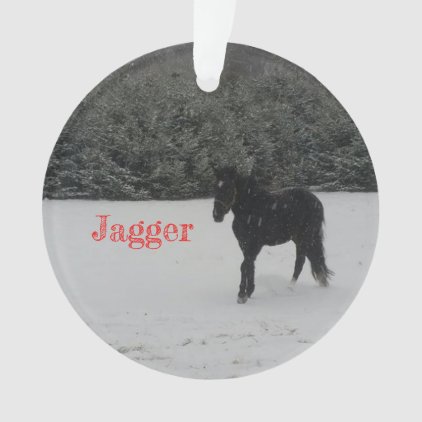 Jagger Christmas Ornament