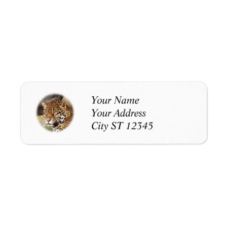 Jaguar Address Label