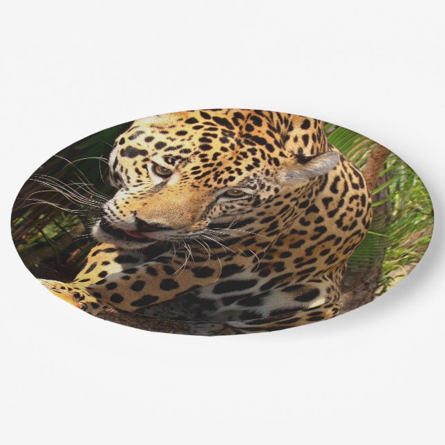 Jaguar Adolescent Paper Plates (Angled)