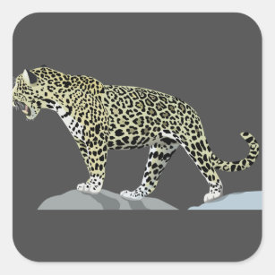 jaguar-animal-cat-wild-jungle square sticker