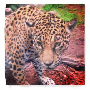 Jaguar Bandana