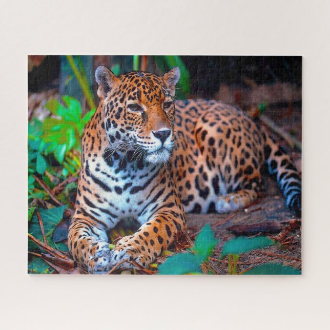 Jaguar Big Cats . Jigsaw Puzzle (Horizontal)