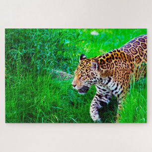 Jaguar Big Cats . Jigsaw Puzzle