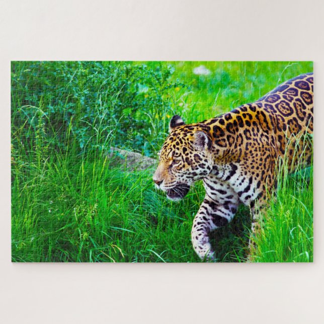 Jaguar Big Cats . Jigsaw Puzzle (Horizontal)