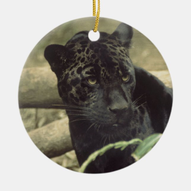 Jaguar Black Panther Art Ceramic Ornament (Front)