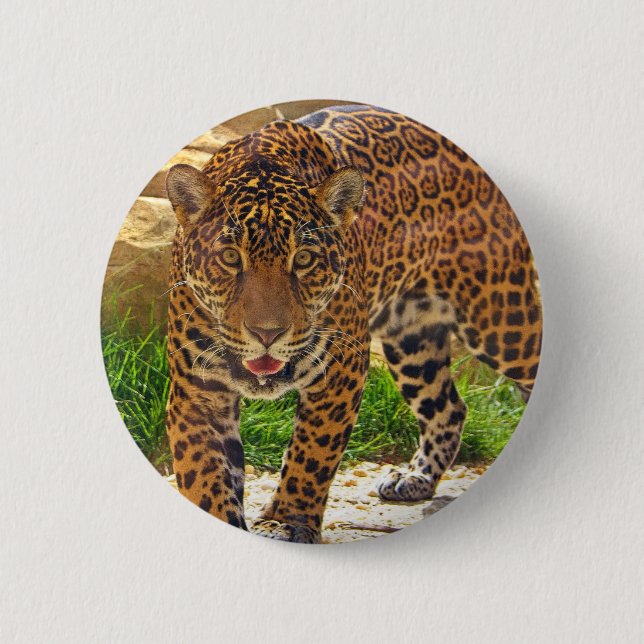 Jaguar Button (Front)