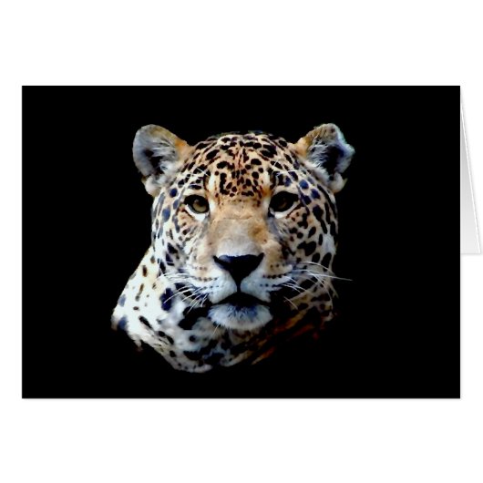 Jaguar Cards (Front Horizontal)