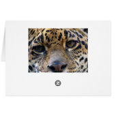 Jaguar Cards (Back Horizontal)