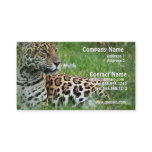 Jaguar Cat Business Card