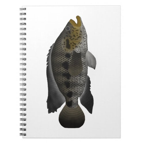 Jaguar Cichlid Notebook