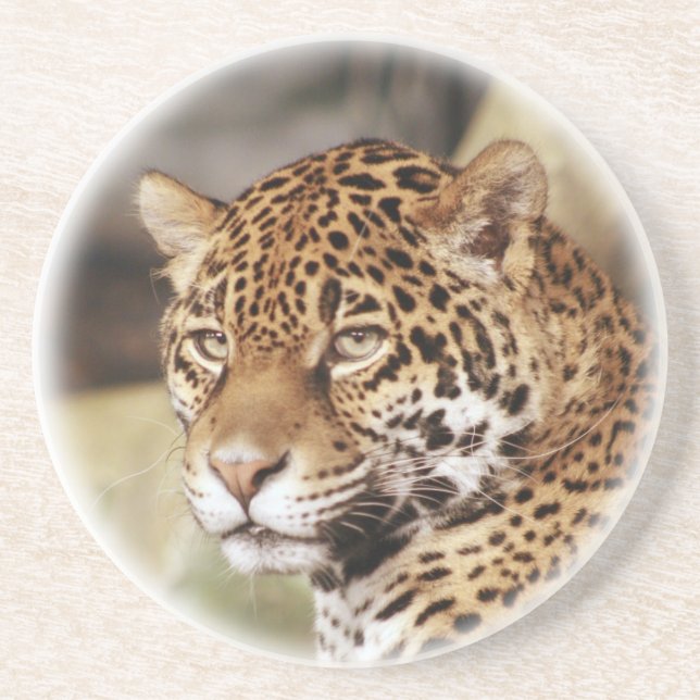 Jaguar Coaster (Front)