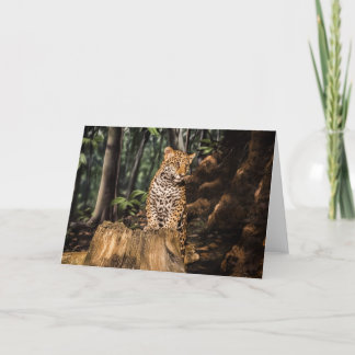 Jaguar Cub Greeting Card