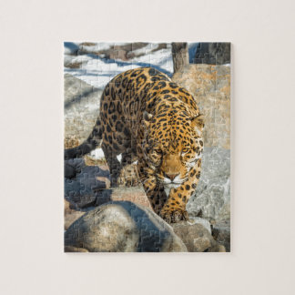 Jaguar Custom Products Jigsaw Puzzle