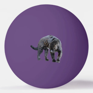 Jaguar Diablo 1 star purple ping pong ball
