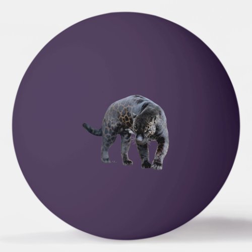 Jaguar Diablo 1 star purple ping pong ball