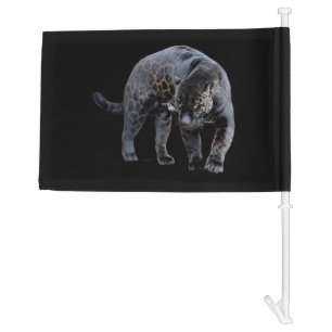 Jaguar Diablo black car and boat flag