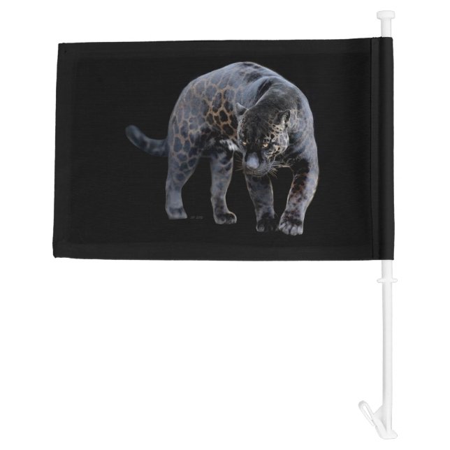 Jaguar Diablo black car and boat flag (Back)