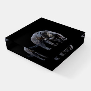 Jaguar Diablo black glass square paperweight