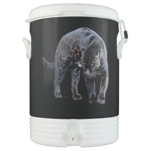 Jaguar Diablo black Igloo beverage cooler (10 gal)