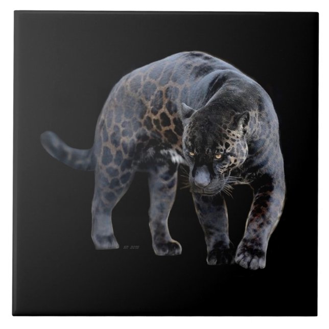 Jaguar Diablo black large ceramic tile (Front)