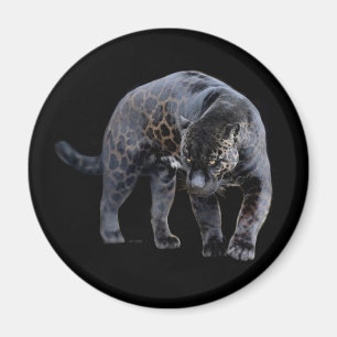Jaguar Diablo black magnet