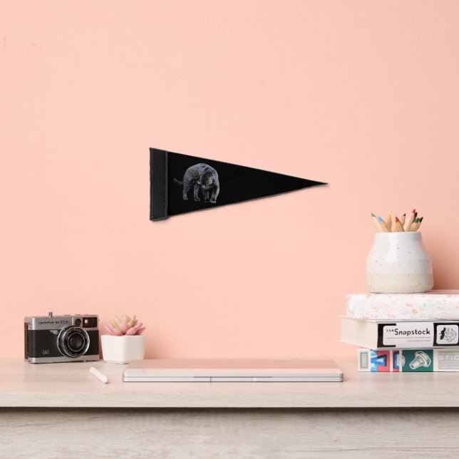 Jaguar Diablo black pennant flag (Insitu 2)