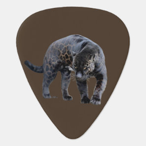Jaguar Diablo brown guitar pick