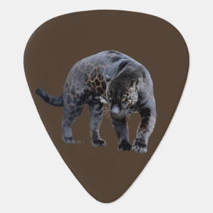 Jaguar Diablo brown guitar pick