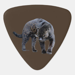 Jaguar Diablo brown triangle guitar pick
