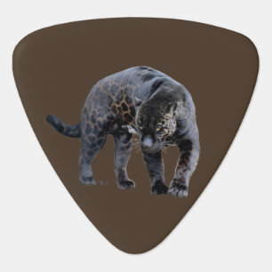 Jaguar Diablo brown triangle guitar pick