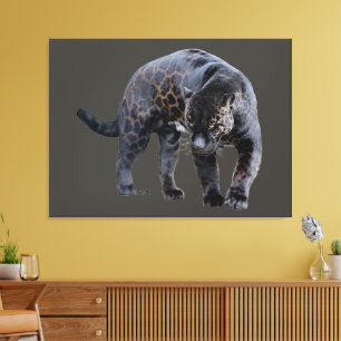 Jaguar Diablo gray canvas print
