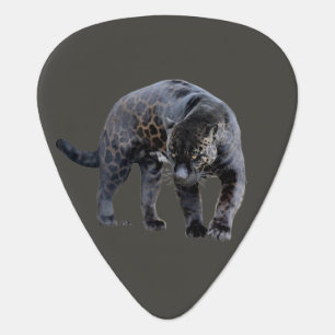 Jaguar Diablo gray guitar pick