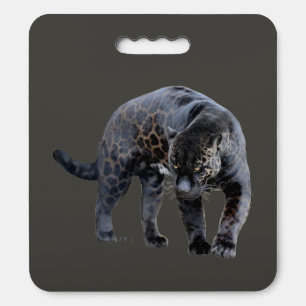 Jaguar Diablo gray stadium cushion