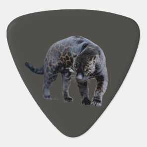 Jaguar Diablo gray triangle guitar pick