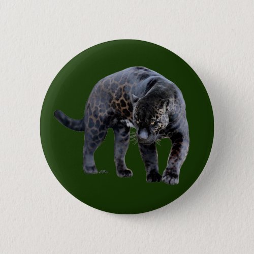 Jaguar Diablo green button