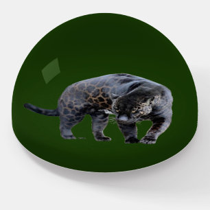 Jaguar Diablo green glass dome paperweight