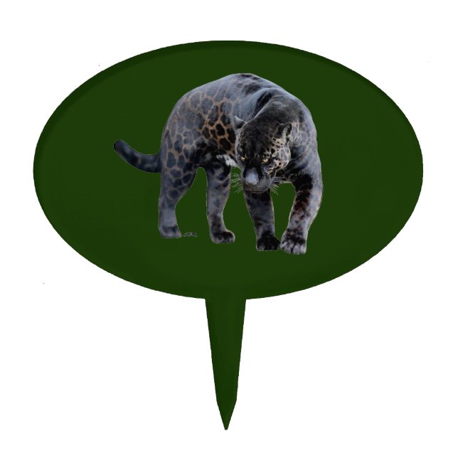 Jaguar Diablo green oval cake picks (Front)